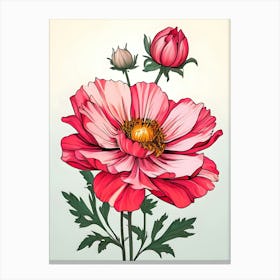 Cosmos Flower 1 Canvas Print