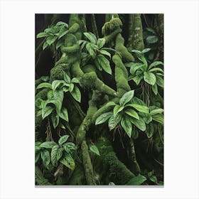 Mossy Forest Canvas Print