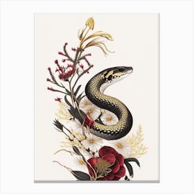 Red Coachwhip Gold And Black Canvas Print