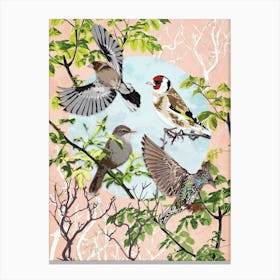 Garden Birds Canvas Print