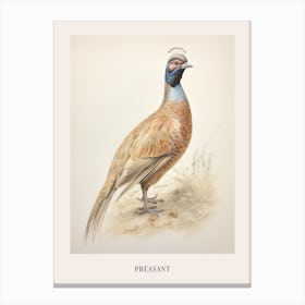 Vintage Bird Drawing Pheasant 2 Poster Canvas Print