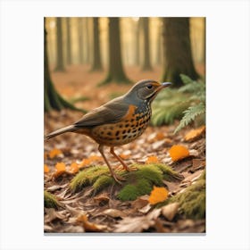 Robin In The Forest Canvas Print