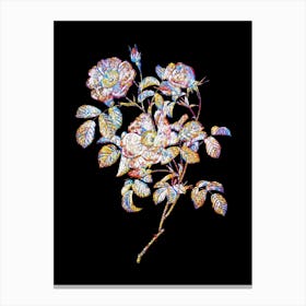 Stained Glass Rose of Love Bloom Mosaic Botanical Illustration on Black n.0182 Canvas Print
