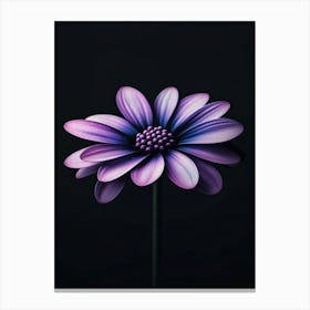 Purple Daisy 3 Toile