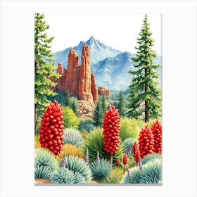 Red Rock Cactus Canvas Print