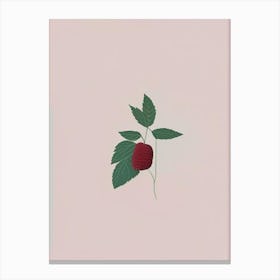 Red Raspberry Herb Simplicity Canvas Print