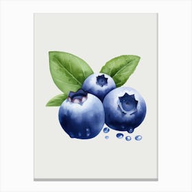 Blueberries Canvas Print