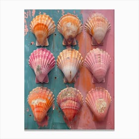 Shells On The Wall Canvas Print