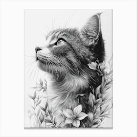 Black And White Cat Drawing Canvas Print