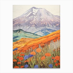 Mount St Helens United States 1 Colourful Mountain Illustration Canvas Print