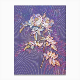 Geometric Shining Rosa Lucida Mosaic Botanical Art on Veri Peri n.0269 Canvas Print