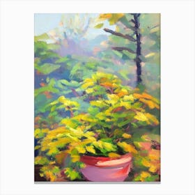 Japanese Aralia Impressionist Painting Plant Canvas Print