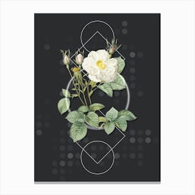 Vintage White Rose of York Botanical with Geometric Line Motif and Dot Pattern n.0319 Canvas Print