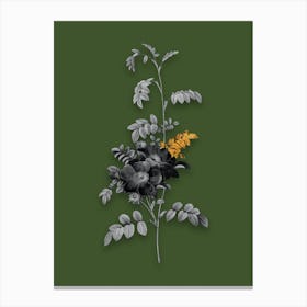 Vintage Alpine Rose Black and White Gold Leaf Floral Art on Olive Green n.1052 Canvas Print