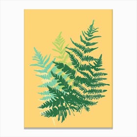 Boston Fern Plant Minimalist Illustration 7 Canvas Print