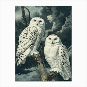 Snowy Owls 10 Canvas Print