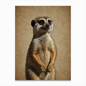 Meerkat 11 Canvas Print