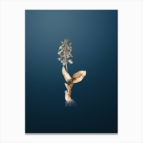 Gold Botanical Brown Widelip Orchid on Dusk Blue n.4146 Canvas Print