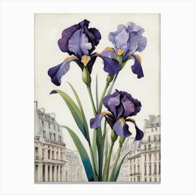 France National Flower the Iris Canvas Print