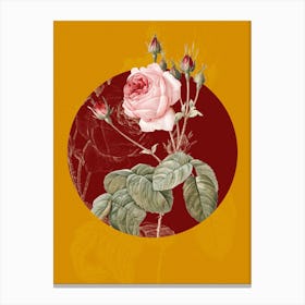 Vintage Botanical Cabbage Rose on Circle Red on Yellow n.0175 Canvas Print