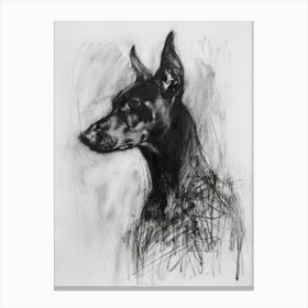 German Pinscher Dog Charcoal Line 2 Canvas Print