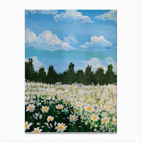 Daisy Field Canvas Print