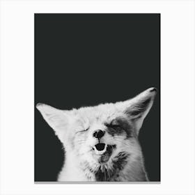 Black And White Fox Canvas Print