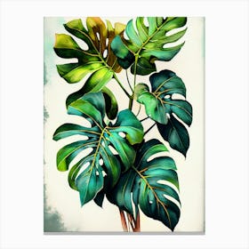 Monstera Plant 1  nature flora Canvas Print