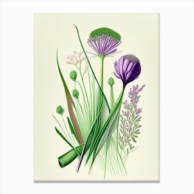 Chives Spices And Herbs Retro Drawing 1 Canvas Print