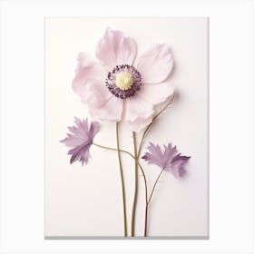Pressed Flower Botanical Art Anemone 2 Canvas Print