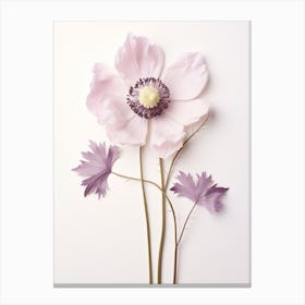 Pressed Flower Botanical Art Anemone 2 Toile