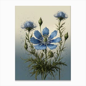 Blue Cosmos Canvas Print