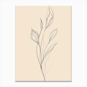 Drawing Of A Flower 4 Canvas Print