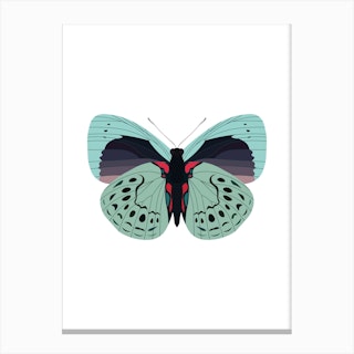 Gossamer Butterfly Canvas Print