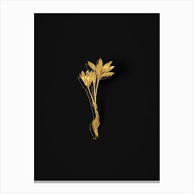 Vintage Autumn Crocus Botanical in Gold on Black n.0503 Canvas Print