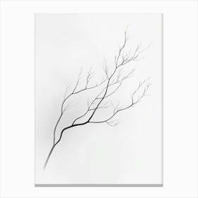 Bare Branches Canvas Print