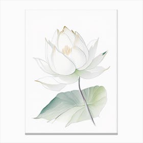 White Lotus Pencil Illustration 3 Canvas Print