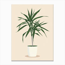 Dracaena Plant Minimalist Illustration 6 Canvas Print