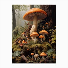 Forest Mushrooms 3 Canvas Print