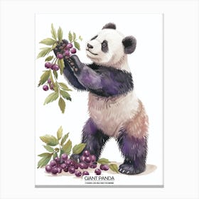 Giant Panda Picking Berries Poster 6 Canvas Print