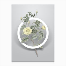 Vintage Yellow Sweetbriar Rose Minimalist Flower Geometric Circle on Soft Gray Canvas Print