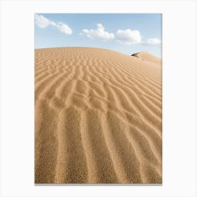 Labyrinth Of Sand In The Desert Canvas Print