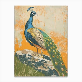 Blue Mustard Peacock Portrait On A Rock 1 Canvas Print