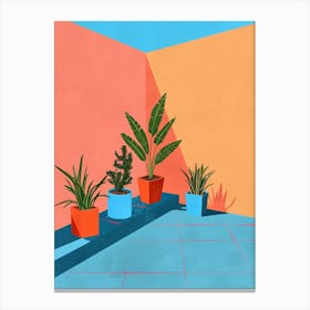 Potted Plants 28 Canvas Print