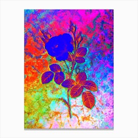 White Misty Rose Botanical in Acid Neon Pink Green and Blue n.0316 Canvas Print