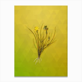 Vintage Golden Blue Eyed Grass Botanical Art on Empire Yellow Canvas Print