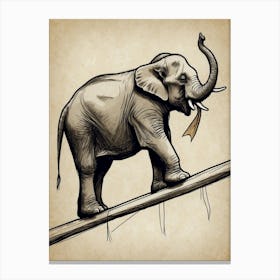 Elephant On A Rope Canvas Print
