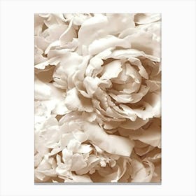 Peonies 1 Canvas Print