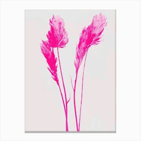 Hot Pink Fountain Grass 2 Canvas Print