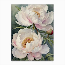 (landscape)White Peonies Canvas Print